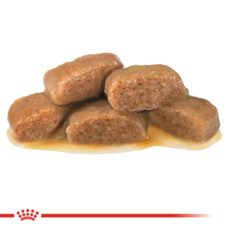 (85 g.x12ซอง) Royal Canin Diabetic Wet Cat Food อาหารเปียกแมว สำหรับแมวเป็นโรคเบาหวาน
