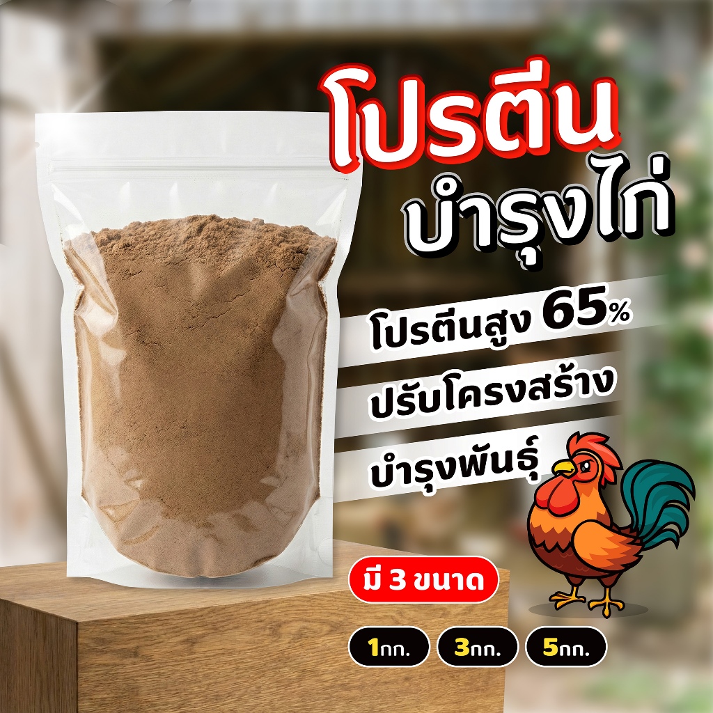 อาหารเสริมโปรตีน สำหรับไก่ชน ไก่บ้าน ไก่ไข่และนก เพิ่มการเติบโต เพิ่มกล้ามเนื้อ