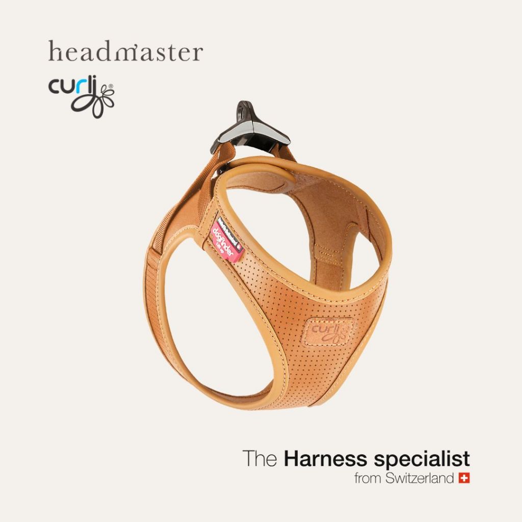 curli Apple Leather Harness Brown สายรัดอกพรีเมียมผลิตจากหนังวีแกนสีน้ำตาล สำหรับสุนัขและแมว