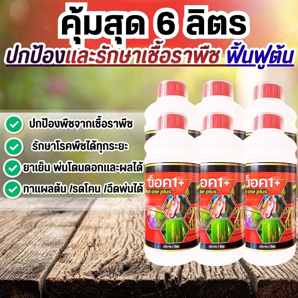 โปร 6 ลิตร น็อควันพลัส หยุดปัญหาโรคพืช เชื้อราพืช ราแป้ง ราน้ำค้าง กิ่งแห้ง ฟิวซาเรียม ท็อปเทอร่า