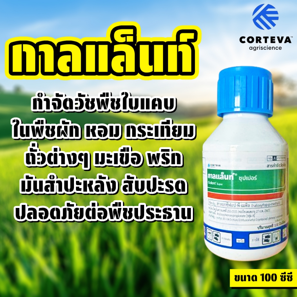 กาลแล็นท์ ซุปเปอร์ ขนาด 100 ซีซี กำจัดวัชพืชใบแคบในพืชผักต่างๆ