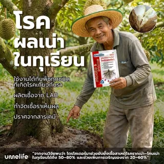 อูเมะไลฟ์ ไตรโคเดอร์มา 100 กรัม จุลินทรีย์ป้องกันรากเน่า เชื้อราในดิน ป้องกันเชื้อโรคในดิน บำรุงราก