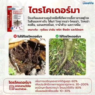 อูเมะไลฟ์ ไตรโคเดอร์มา 100 กรัม จุลินทรีย์ป้องกันรากเน่า เชื้อราในดิน ป้องกันเชื้อโรคในดิน บำรุงราก
