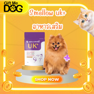 S-Mellow 40 UK+ อาหารเสริมสำหรับสุนัข บำรุงร่างกาย ป่วยโรคไต…