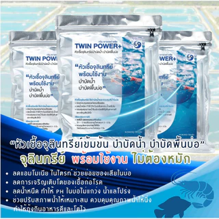 2026 ใหม่ล่าสุด หัวเชื้อจุลินทรีย์บาซิลัสเข้มข้น แก้ปัญหาน้ำเขียว ลดน้ำหนืด พร้อมใช้งานไม่ต้องหมัก ช่วยควบคุมค่า pH ย่อย