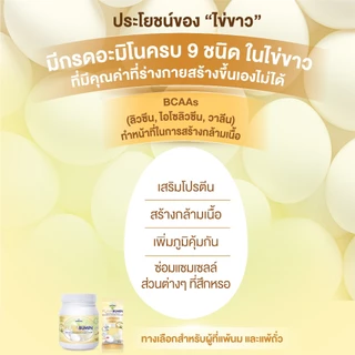 ไข่ขาวผงชงดื่ม กลิ่นวานิลลามอลต์ Egg Albumin Flavabumin โปรตีนไข่ขาวผง เอ้กแอลบูมิน 30 กรัม cosma