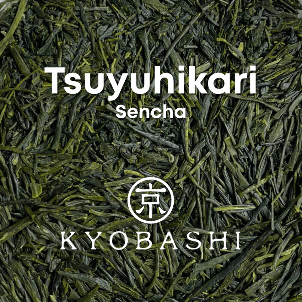 KYOBASHI - Tsuyuhikari  Sencha ชาเขียว เซนฉะ สึยุฮิคาริ จากชิซึโอะกะ ประเทศญี่ปุ่น