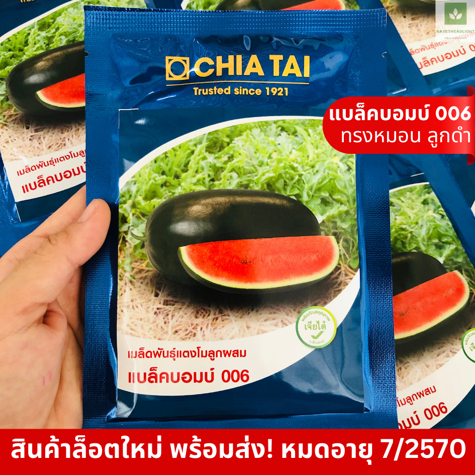 ใหม่! แบล็คบอมบ์ 006 ทรงหมอน ลูกดำ 40กรัม/ซอง เมล็ดพันธุ์แตงโม แตงโมเจียไต๋ แบล็คบอม 006 Blackbomb