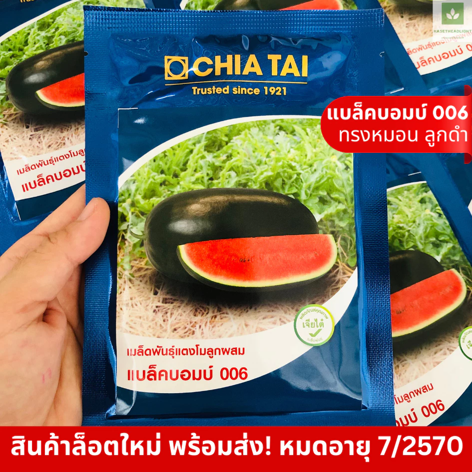 ใหม่! แบล็คบอมบ์ 006 ทรงหมอน ลูกดำ 40กรัม/ซอง เมล็ดพันธุ์แตงโม แตงโมเจียไต๋ แบล็คบอม 006 Blackbomb