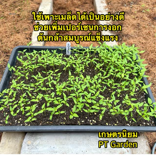 ดินปลูกสำเร็จรูป ดินปลูกผัก Grow Green Soil สูตรออแกนิก ใช้เพาะเมล็ด ปลูกผักสวนครัว ไม้ดอกไม้ประดับ ไม้ฟอกอากาศ 10kg