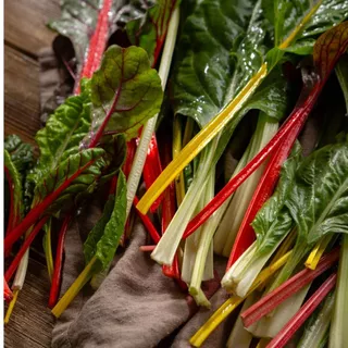 เมล็ดพันธุ์ Swiss Chard Rainbow Mix | สวิสชาร์ด เรนโบว์มิกซ์ | ผักสลัดสีรุ้ง ปลูกง่าย โตเร็ว สำหรับปลูกในกระถาง/แปลงผัก