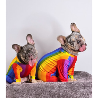 เสื้อแมว ตรุษจีน เสื้อหมาขนาดเล็กกันขนร่วง ชุดสี่ขา น้ำหนัก3…