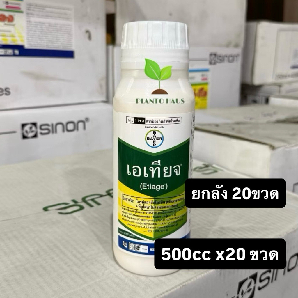 ยกลัง20ขวด เอเทียจ Bayer ไตรฟลอกซีสโตรบิน + ทีบูโคนาโซล ป้องกัน เมล็ดด่าง 500ซีซี