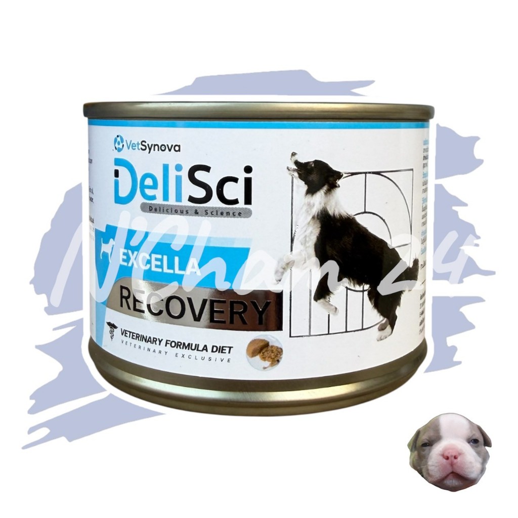 โปรดอ่านกอ่นสั่ง Vetsynova DeliSci Excella ขนาด 185g อาหารสำหรับสุนัขป่วย กำลังพักฟื้น ให้พลังงานสูง