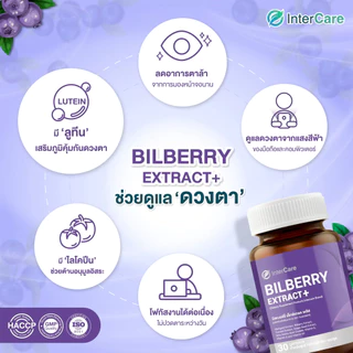 InterCare Bilberry extract plus สกัดจาก บิลเบอร์รี่และลูทีน บำรุงสายตา ช่วยในการมองเห็น