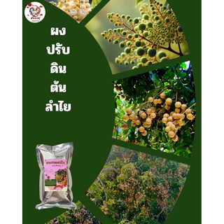 ปุ๋ยเร่งดอกลำไยให้ออกผล ใช้ราดทางดินและพ่นทางใบ เพื่อเร่งลำไยให้ออกลูก บรรจุ 1.0 กิโลกรัม