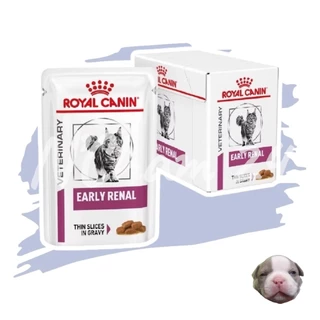 Royal Canin Early Renal Pouch 85 g บรรจุ 12 ซอง อาหารแมวโรคไต ระยะเริ่มต้น อาหารเปียกแมว