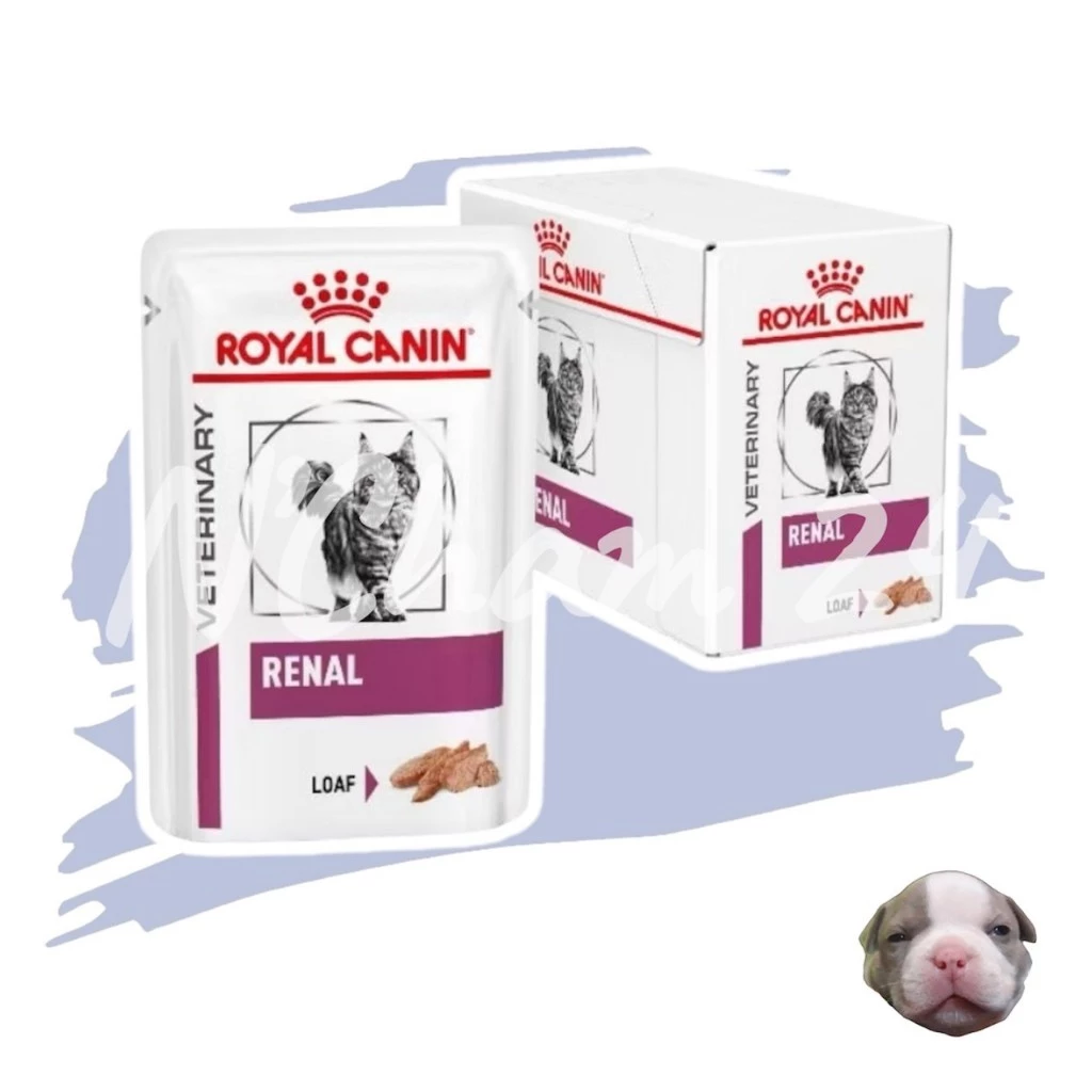 Royal canin Renal Loaf pouch cat 85g บรรจุ 12 ซอง. อาหารรักษาโรคไตแมวชนิดเปียกขนาดบรรจุซองละ 85 กรัม