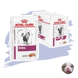 Royal canin Renal Loaf pouch cat 85g บรรจุ 12 ซอง. อาหารรักษาโรคไตแมวชนิดเปียกขนาดบรรจุซองละ 85 กรัม