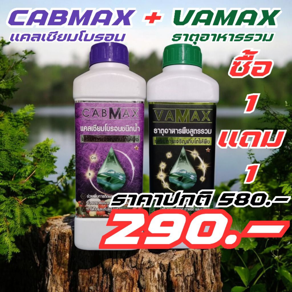 CABMAX+VAMAX แคลเซียมโบรอน+ธาตุอาหารรวม(ซื้อ1แถม1)