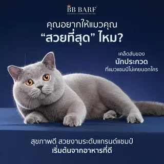 บาร์ฟแมว สูตรไก่ สูตรเป็ด อาหารแมว บีบี บาร์ฟ BB BARF อาหารสดดิบสำหรับแมว 12 กระปุก