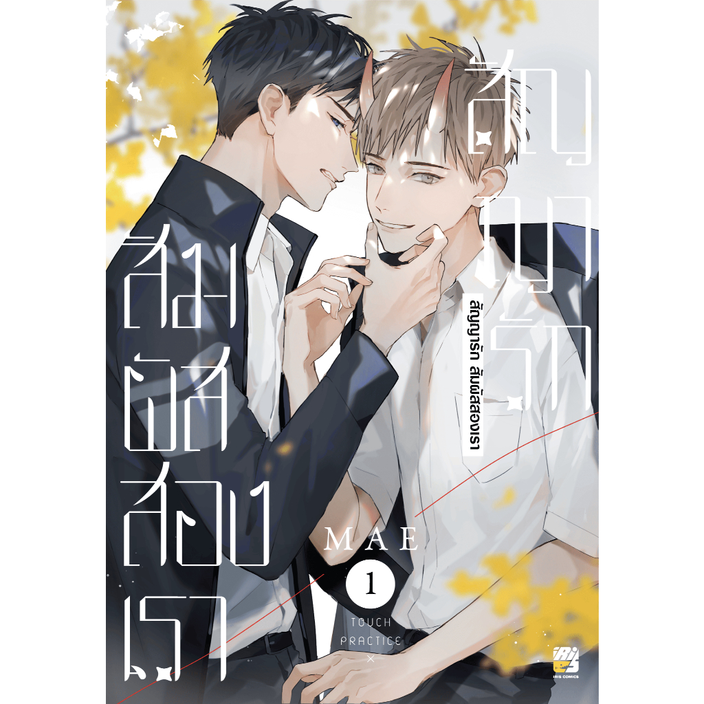 หนังสือการ์ตูนวาย สัญญารักสัมผัสสองเรา