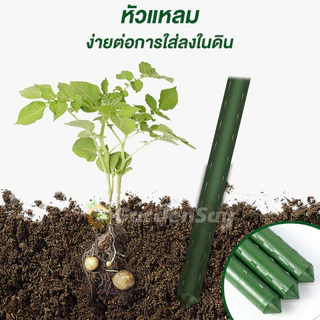 【COD】เสาไม้เลื้อย 10แท่ง กระกางต้นไม้ ไม้ค้ำต้นไม้ ท่อเหล็กPE หลักไม้เลื้อย เสาต้นไม้ ยาว 60-180 ซม. หนา 8-20 มม. PE