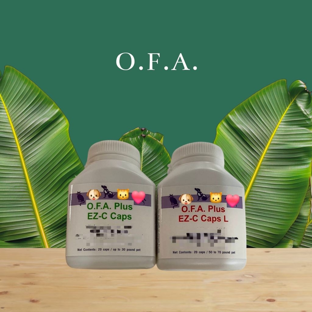 🦮 O.F.A. Plus (20 แคปซูล) 🐈‍⬛