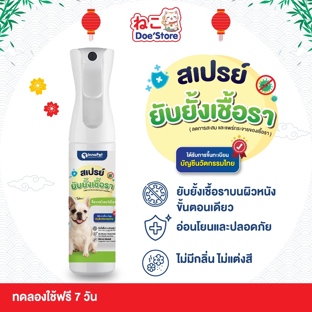 สเปรย์ยับยั้งเชื้อราสุนัข InnoPet กำจัดเชื้อราสุนัข หมา ในขั้นตอนเดียว ลดคัน ลดขนร่วง อ่อนโยนปลอดภัย ไม่แต่งสี ไม่แต่