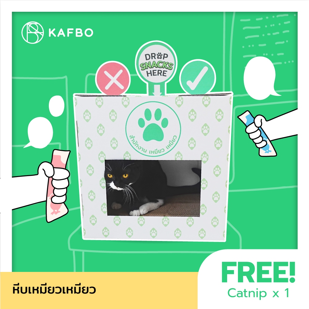KAFBO หีบเหมียวเหมียว หีบน้องแมว กล่องที่ลับเล็บ กล่องบ้านแมว ที่ลับเล็บแมว ที่นอนแมว FREE!! Catnip