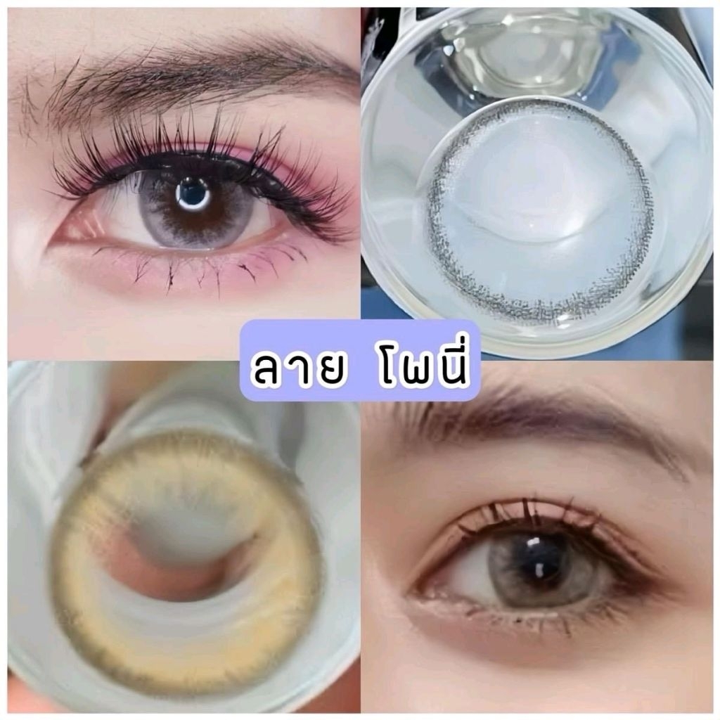 คอนแทคเลนส์ ลายโพนี่ PONY  contaclens