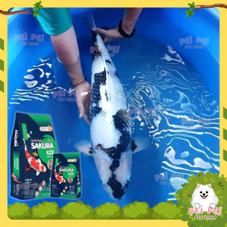 ⚡Flash Sale⚡อาหารปลาคาร์ฟ Sakura Koi (ซากุระ โค่ย) สูตรสมดุล Staple Formular ขนาด 1.25 กก และ 6.5 กก