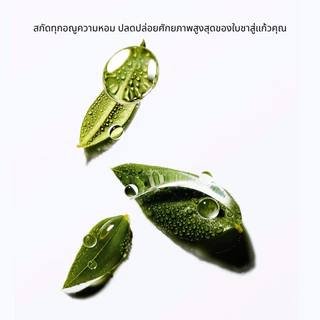 800/1000ml กาชงชา เก็บความร้อน พร้อมที่กรองชา กระติกน้ำสูญญากาศ เพื่อสุขภาพ | casa & co.