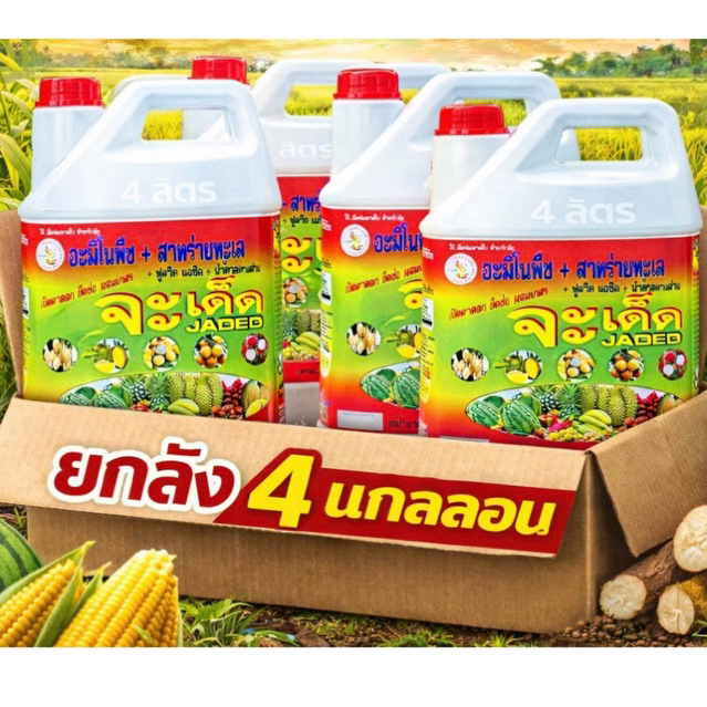 จะเด็ด ยกลัง 4 แกลลอน