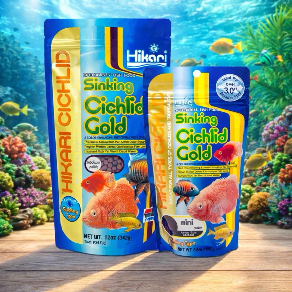 อาหารปลาหมอสีสูตรเร่งสีเม็ดจม HIKARI Sinking Cichlid Gold 100g. มีให้เลือกเม็ดMiniและเม็ดMedium สินค้าขายดีประจำร้าน