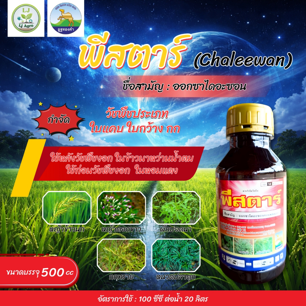พีสตาร์ (ออกซาไดอะซอน) ขนาด 500 ซีซี คุมหญ้านาหว่านข้าวแห้ง #แอลเจอะโกร