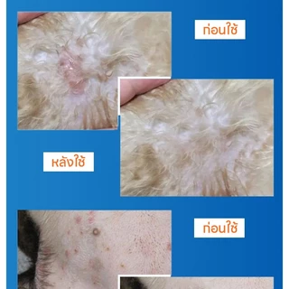 💊อ่อนโยน ไม่แสบ🐱สเปรย์สมานแผลสำหรับสัตว์เลี้ยง สเปรย์พ่นแผล สเปรย์นาโน ดูแลแผลไว ใช้ได้ทั้งแมวหมา ปลอดภัยเลียได้