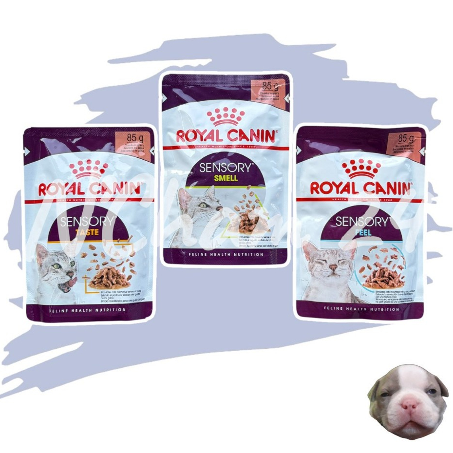 Royal Canin Sensory Cat Pouch บรรจุ 85gx12ซอง อาหารเปียกสำหรับแมว เพิ่มความอร่อยให้หลากหลาย