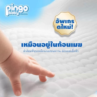 Pingo Baby มาตรฐาน อ่อน กางเกงผ้าอ้อม 50ชิ้น NB S M L XL XXL XXXL นุ่ม บางเบา ใส่สบาย ผ้าอ้อม มีโลเทปม้วนทิ้ง