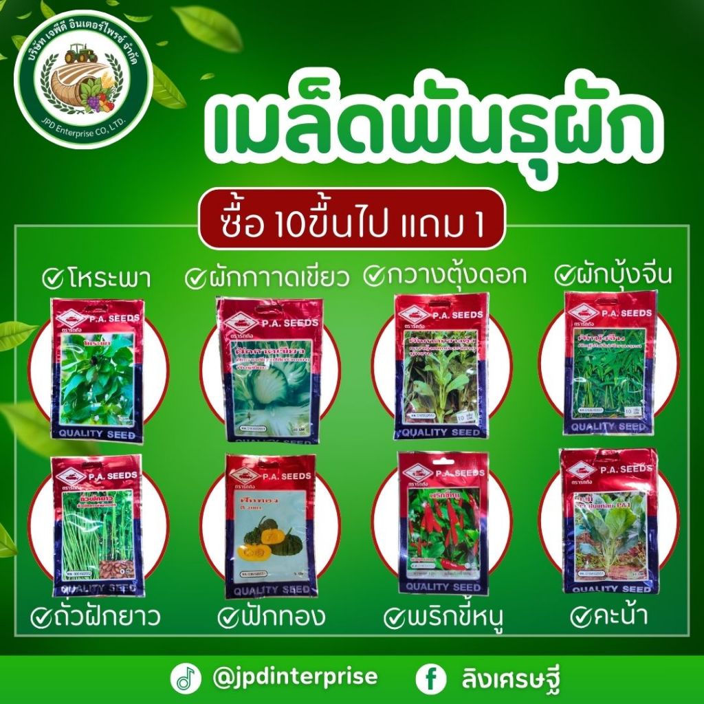เมล็ดพันธุ์ ตรารถถัง P.A Seed รากเเรง รูปเเบบซอง 🌱300-2000เมล็ดพืชผักสวนครัว การันตีอัตรางอก