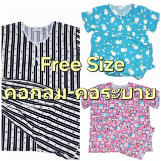 P+P ชุอนอน PP ( F อก 44