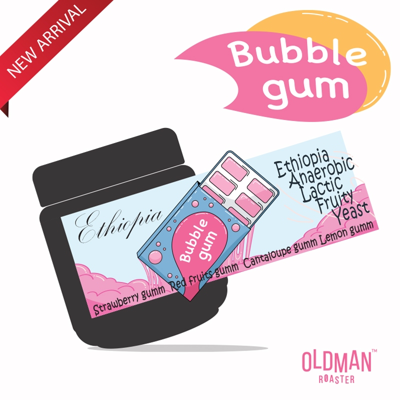 เมล็ดกาแฟ " หมากฝรั่ง บับเบิ้ลกัมรสผลไม้ " ETHIOPIA YIRGACHEFFE BUBBLE GUMM (คั่วอ่อน) LIGHT ROAST by OLDMAN ROASTER