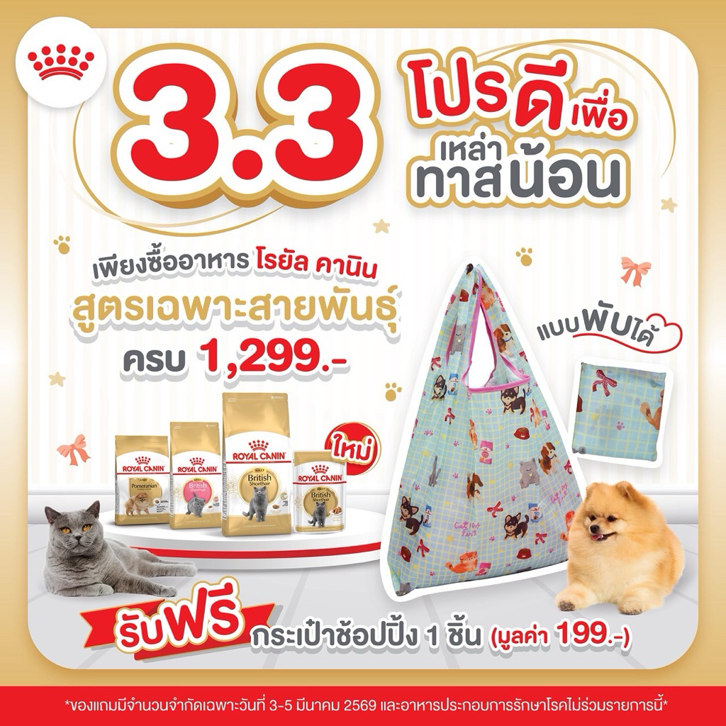 ของแถมมีจำนวนจำกัด ฟรี Royal canin กระเป๋าผ้าพับได้ ซื้ออาหารครบ 1299 เฉพาะสินค้าที่เข้าร่วมรายการ