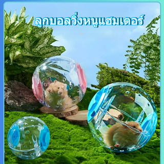 ลูกบอลวิ่งหนูแฮมเตอร์ บอลวิ่งหนูแฮมเตอร์ ของเล่นหนูแฮมเตอร์ …