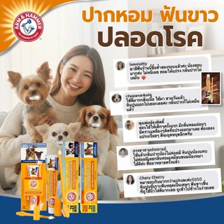 หมดอายุ 30/11/2026 Arm and Hammer ยาสีฟันลูกสุนัข รสเนยถั่ว จัมโบ้ไซส์ 175.8 ก.