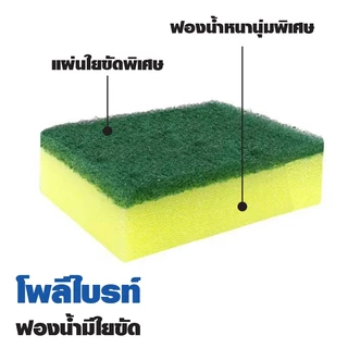 โพลีไบรท์ อัลตร้าฟองน้ำล้างจานคุณภาพ รุ่นฟองน้ำใยขัดแพคคู่ รุ่นฟองน้ำหุ้มตาข่ายแพคเดี่ยว ทำความสะอาด ขจัดคราบ Poly Brite