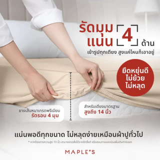 MAPLE'S ผ้าปูที่นอนรัดมุม สูง11-14นิ้ว 550-770เส้น รุ่นSolid/Jacquard กันไรฝุ่นสําหรับคนเป็นภูมิเเพ้