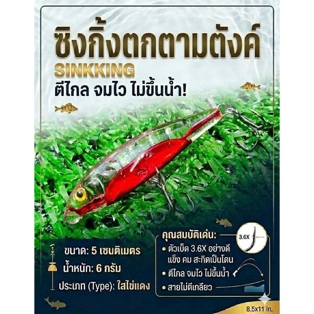 ซิงกิ้งตกตามตังค์(รุ่นไข่แฟนซี)