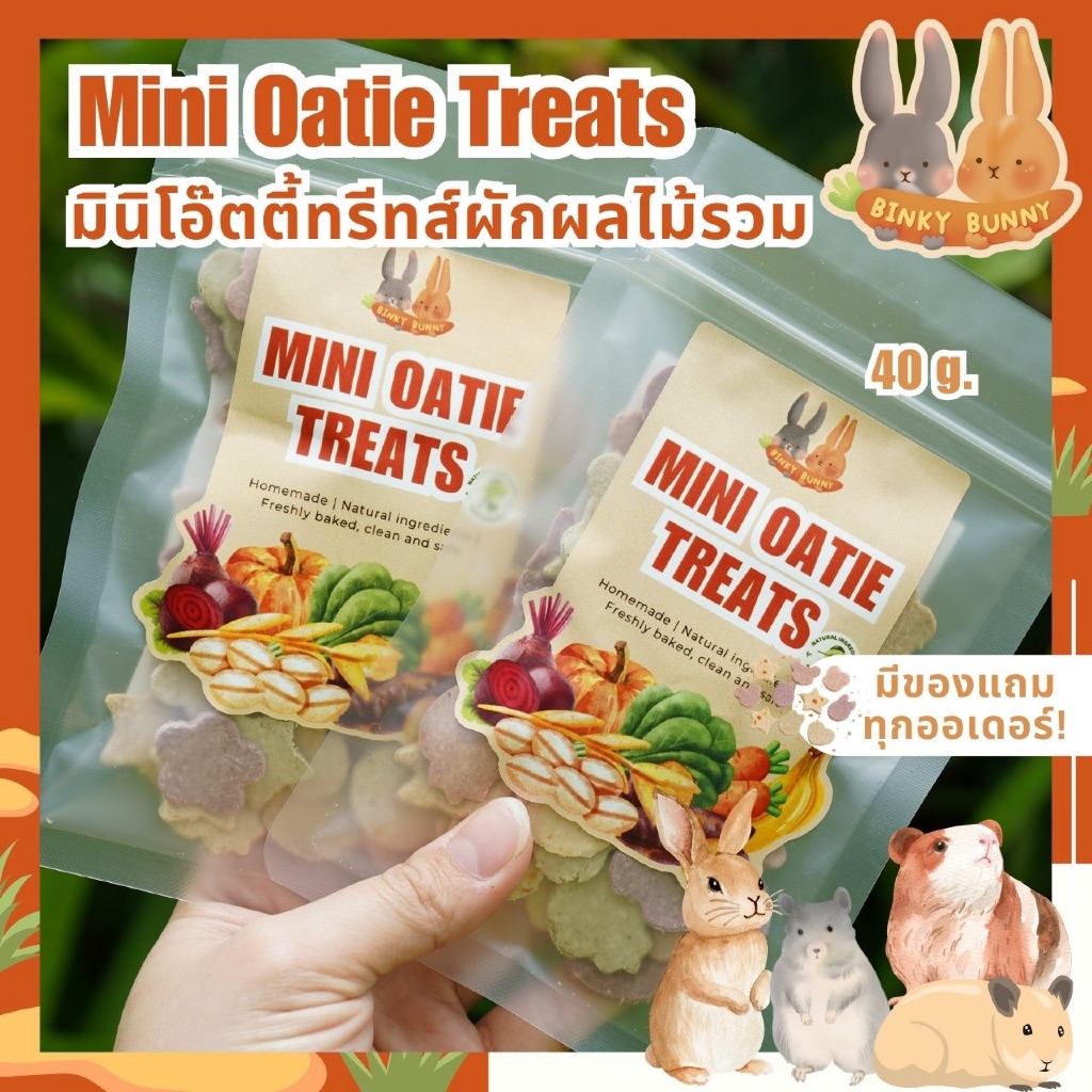 Binky Bunny House มินิโอ๊ตตี้ทรีทส์ผักผลไม้รวม (Mini Oatie Treats) ขนมอบแห้งสำหรับสัตว์ฟันแทะ