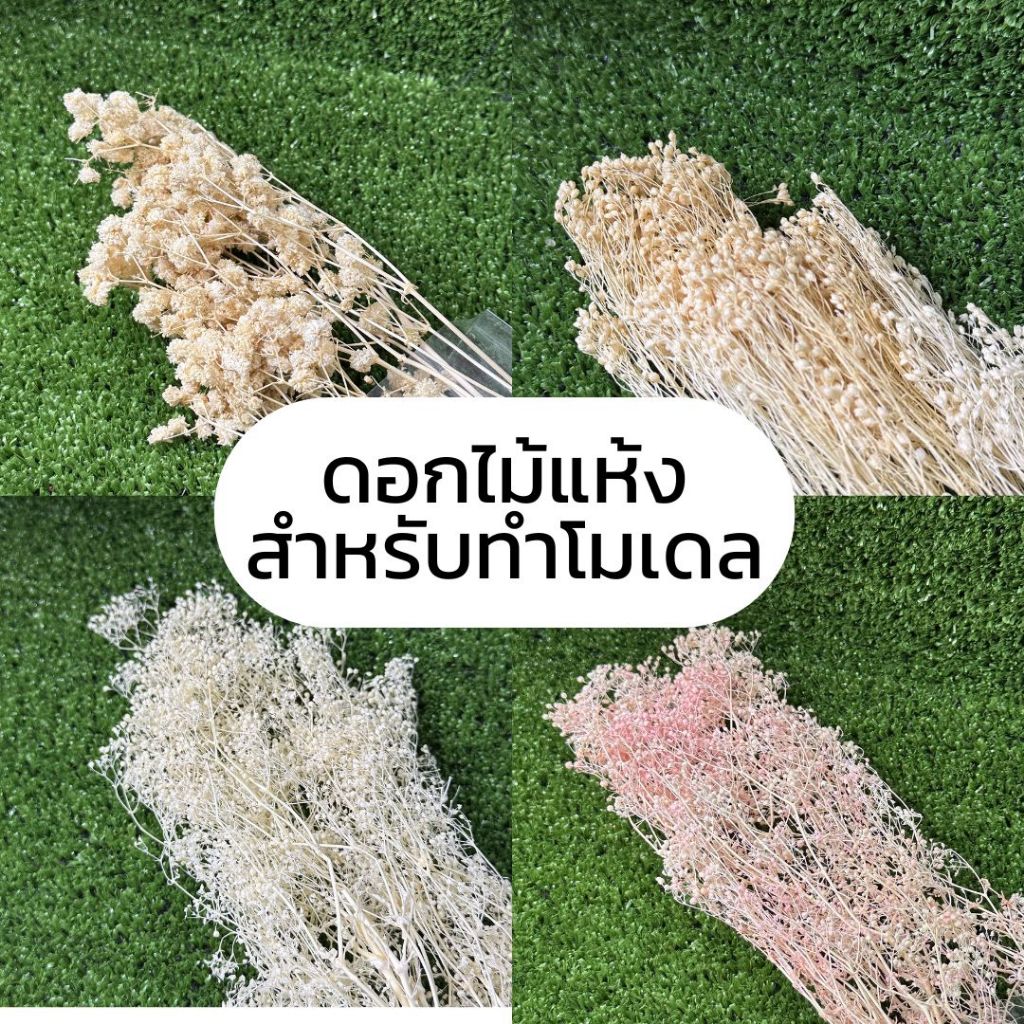 ดอกไม้แห้งสำหรับทำโมเดล ราคาต่อ 1 ห่อ ต้นไม้จำลอง โมเดลต้นไม้